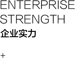 企业实力